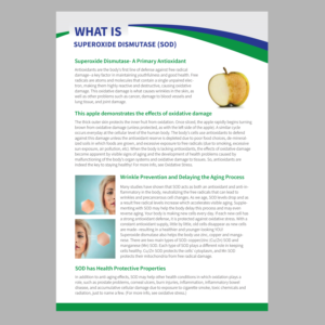 Logo Design by popdesign¤ for UPON INC | Design: #11441923