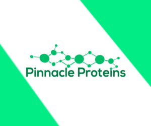 Logo Design by RiyanS