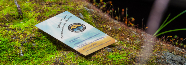 Business Card Design by ann9 for Little Speck of Blue | Design #11412975