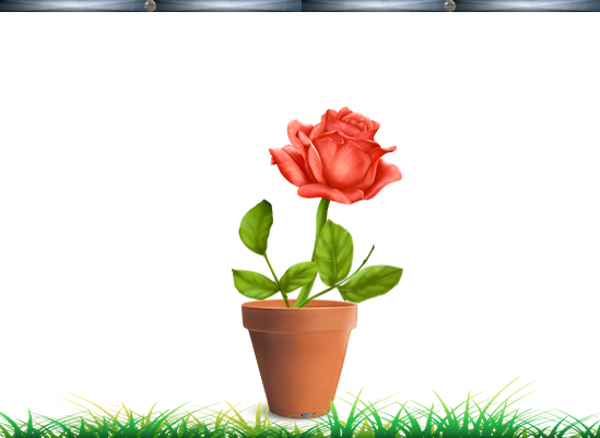 Graphic Design by Nightmist for this project | Design #2332227