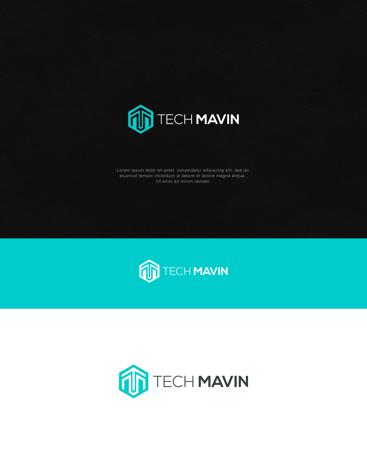 Logo Design by joe designs for Tech Mavin Pty Ltd | Design #11453936