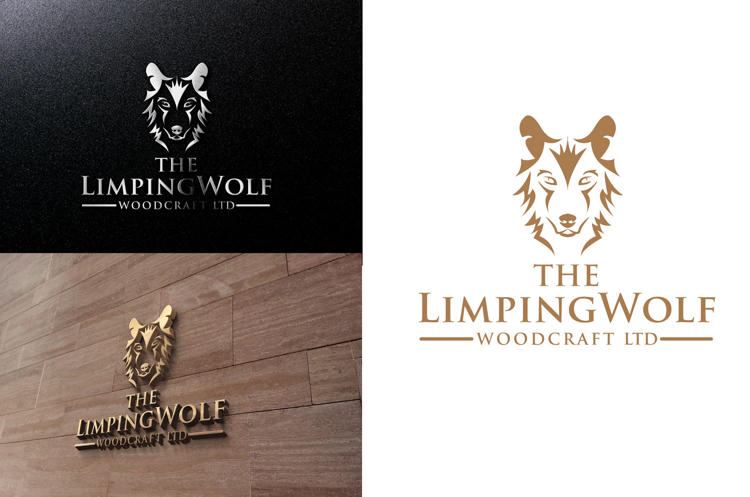 Diseño de Logo por trailnerror.leo para este proyecto | Diseño #11643962
