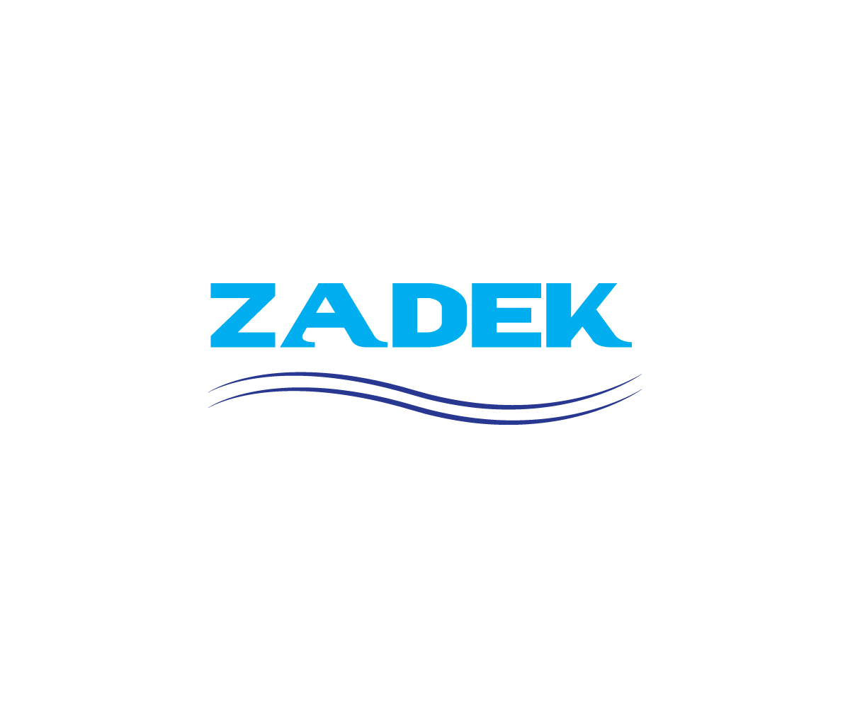 Logo Design by Click Designer for ZADEK  | Design #11435392