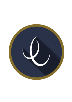 Icon Design by nadundliyanage