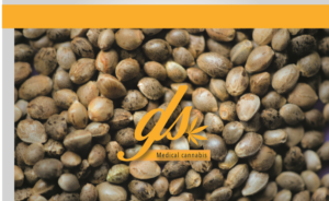 Diseño de Tarjeta de Presentación por AdriánC para GoldLineSeeds.com | Diseño: #11485568