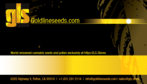 Diseño de Tarjeta de Presentación por PlanB para GoldLineSeeds.com | Diseño: #11522232