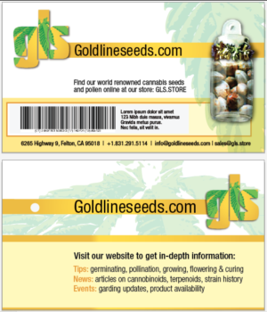 Business Card Design by PlanB