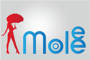 Logo Design by brou.