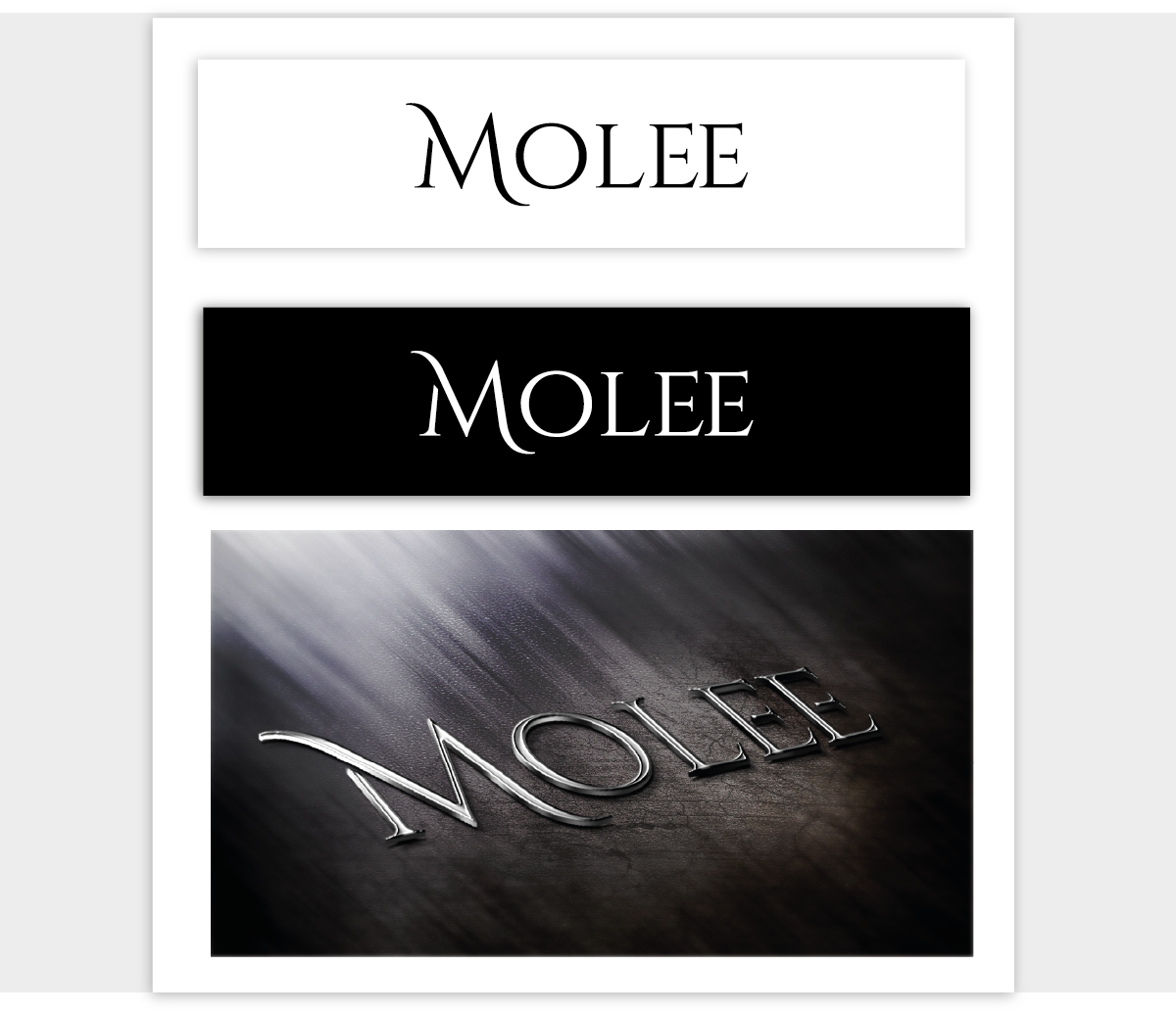 Logo Design by Shirlei Patricia for this project | Design #2332521