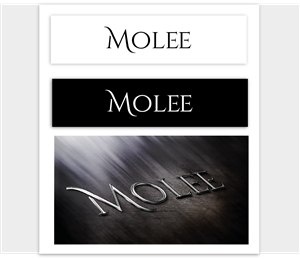 Logo Design by Shirlei Patricia