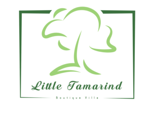 Logo Design by TheDude