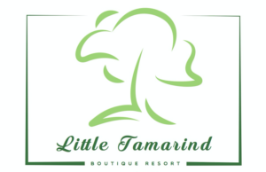 Diseño de Logo por TheDude para este proyecto | Diseño: #11575948