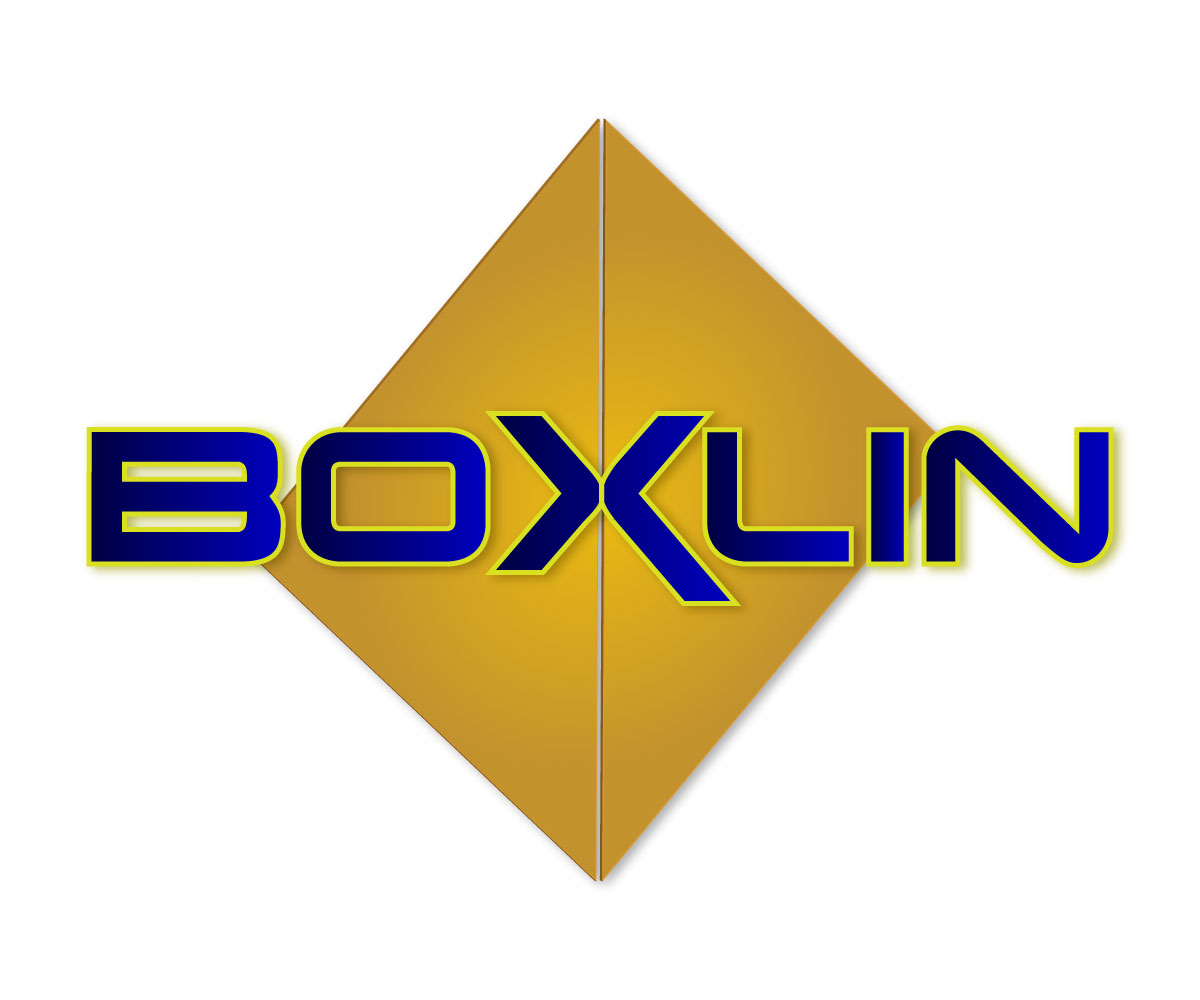 Logo Design by TimJackiw for Lucid Bilgisayar Hiz. Dan. San. ve Tic. Ltd. Sti. | Design #2338171