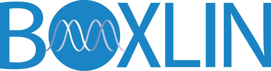 Logo Design by Rahul Jakabal for Lucid Bilgisayar Hiz. Dan. San. ve Tic. Ltd. Sti. | Design #2351869