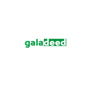 Logo Design by BC Arts