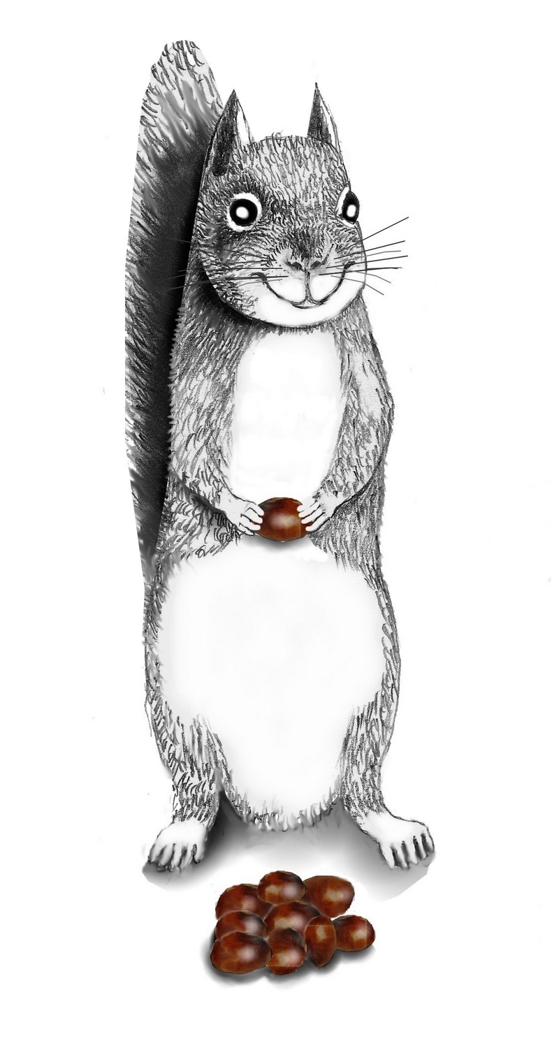 Logo Design by designerone for this project | Design #11434072