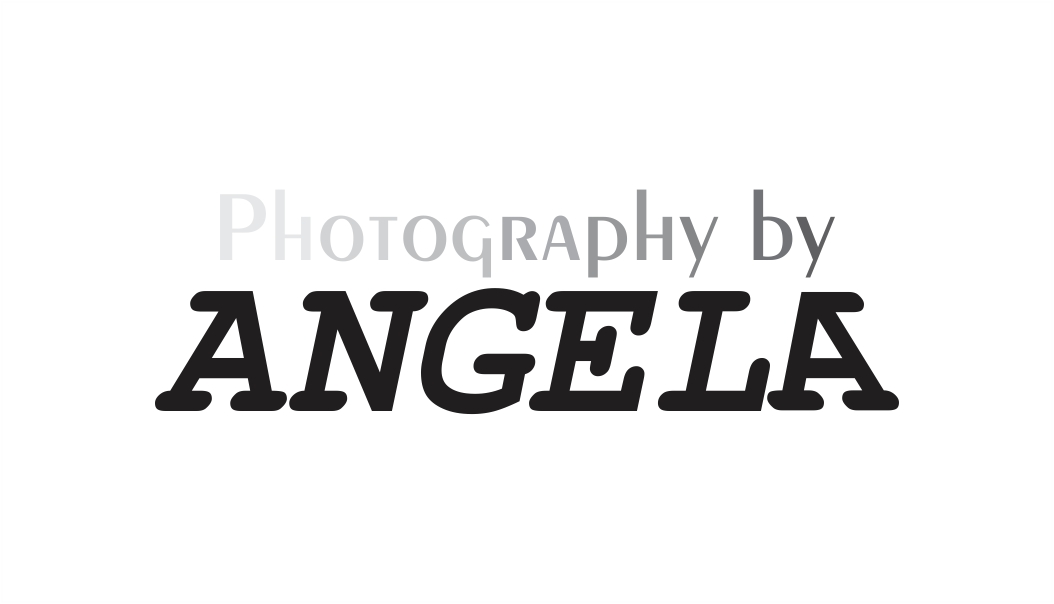 Diseño de Logo por Alireza Mirzaei para este proyecto | Diseño #11460396