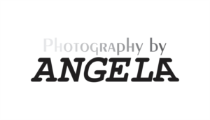Logo Design by Alireza Mirzaei for this project | Design: #11460396