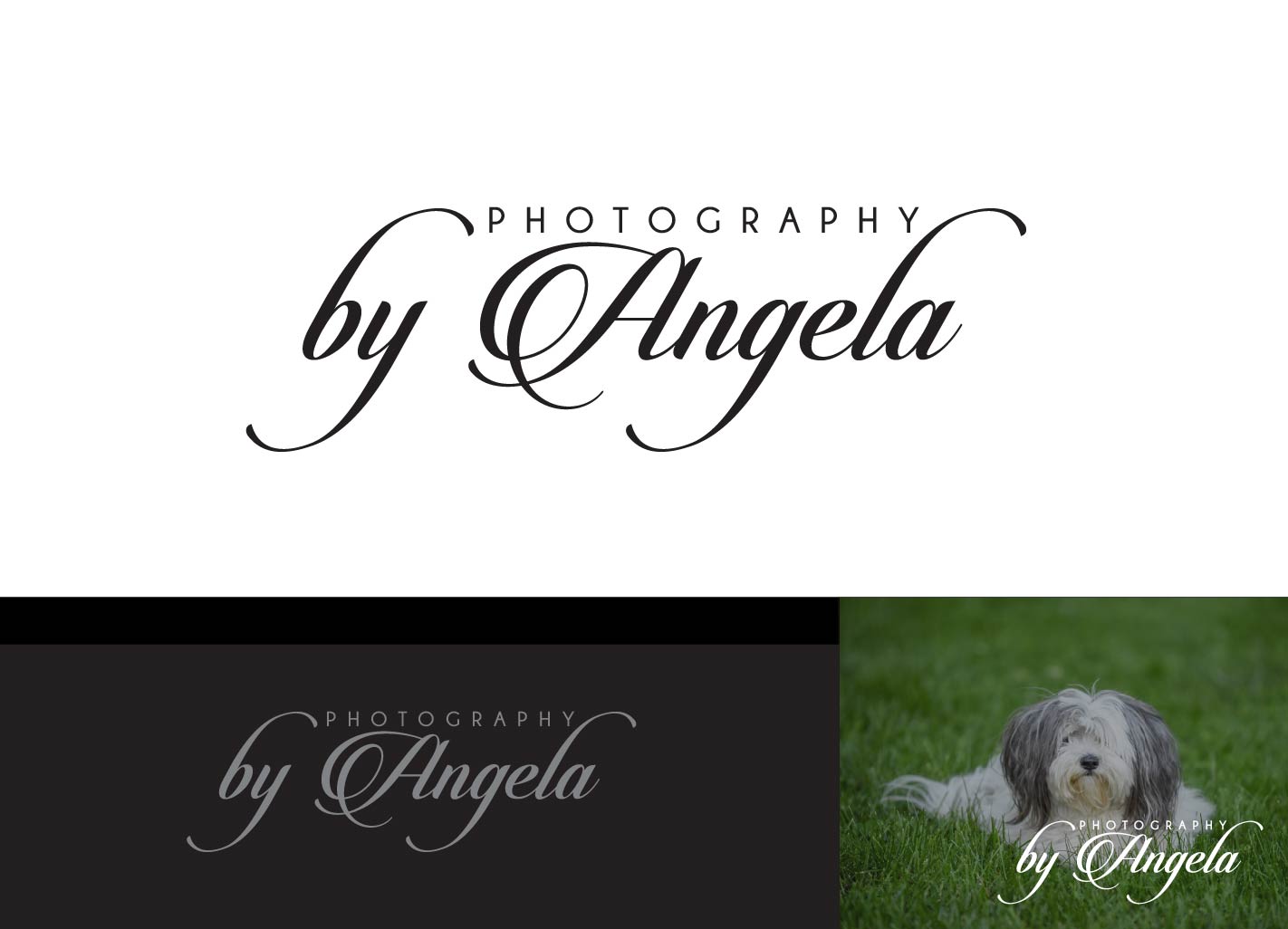 Diseño de Logo por creative.bugs para este proyecto | Diseño #11460513