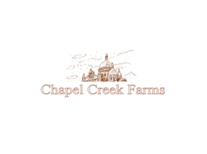 Logo Design by Pebe