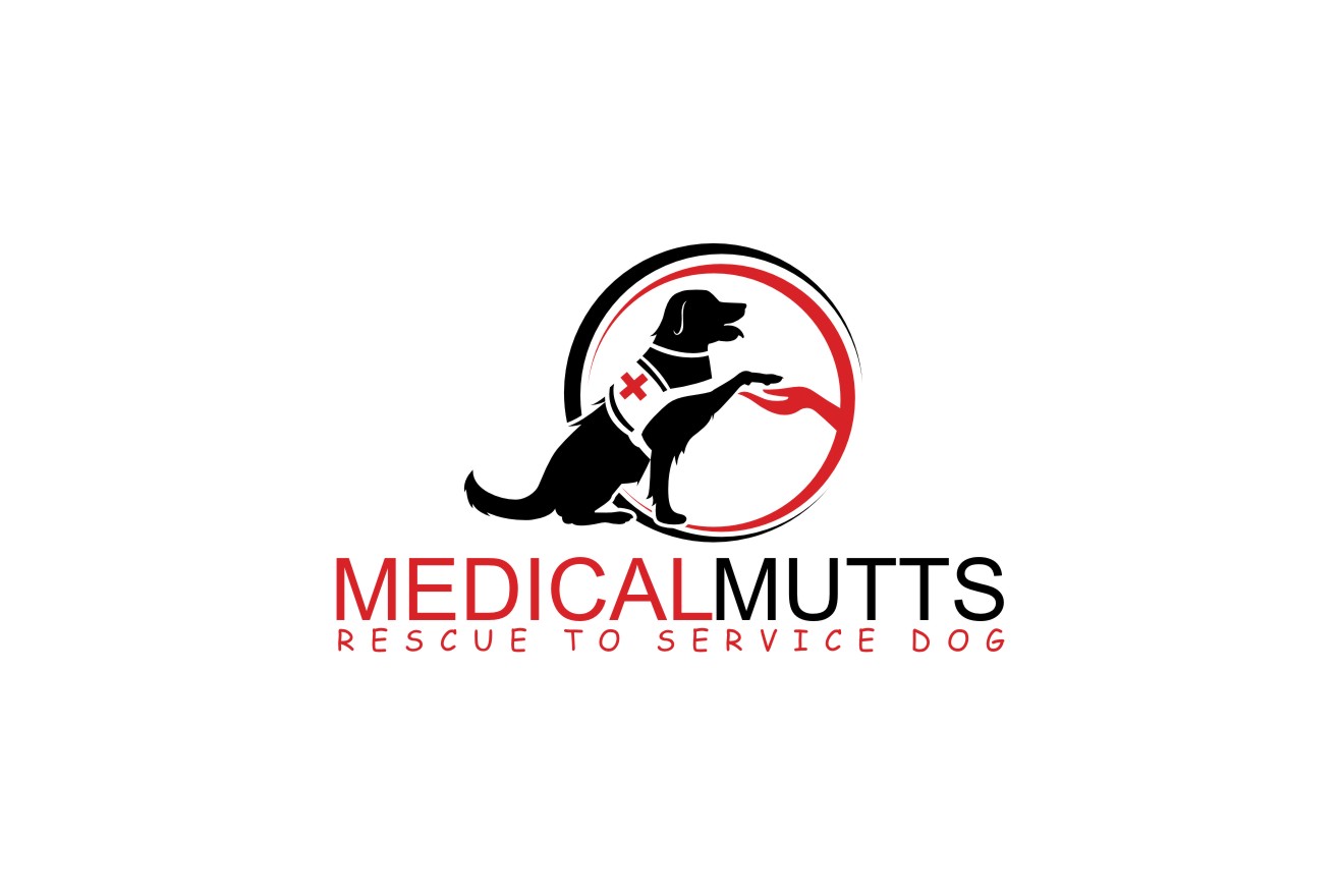 modern service dog training