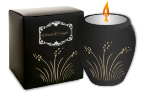 Packaging Design by Xclusive Designers