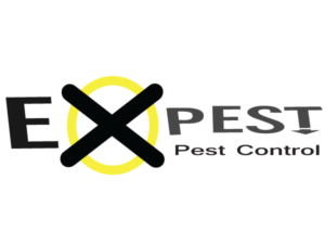 Logo Design by  John Warner
