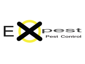 Logo Design by  John Warner for this project | Design: #11441577