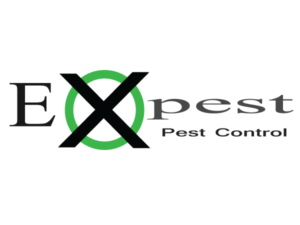 Logo Design by  John Warner for this project | Design: #11441579