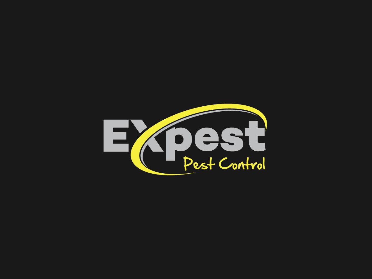 Logo Design by PointGrfx for this project | Design #11440220