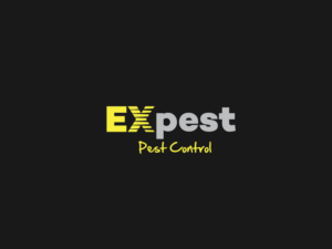 Logo Design by PointGrfx for this project | Design: #11440221