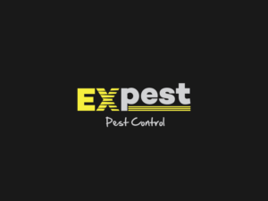 Logo Design by PointGrfx for this project | Design: #11440222