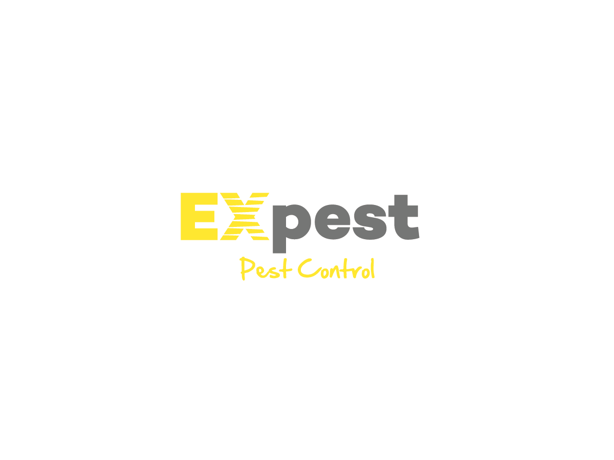 Logo Design by PointGrfx for this project | Design #11440535