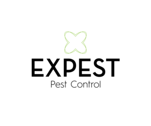 Logo Design by isabel.paoli for this project | Design: #11440729