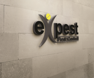 Logo Design by Rok Animax for this project | Design: #11477562
