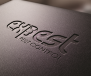 Logo Design by Burraq Creatives for this project | Design: #11438306