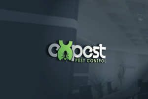 Logo Design by Burraq Creatives