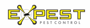 Logo Design by kooshal.bhungy