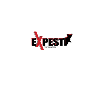 Logo Design by zixsarmy for this project | Design: #11487647