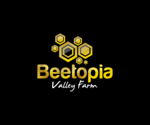 Logo Design by Jay Design