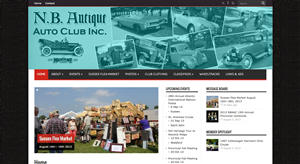 Web Design by artistraman for this project | Design: #2330103