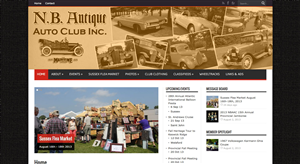 Web Design by artistraman for this project | Design: #2330105
