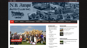 Web Design by artistraman for this project | Design: #2330113