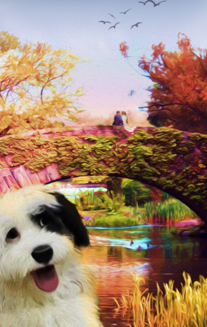 Central Park, New York Illustration / Painting / Photograph edit for a wedding present | Illustration-Design von smiledim24