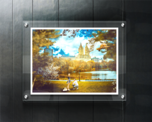 Central Park, New York Illustration / Painting / Photograph edit for a wedding present