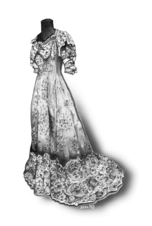 Illustration Design by Katherine Gray Graphic Designer