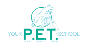 Your P.E.T School | Logo Design by Annabella