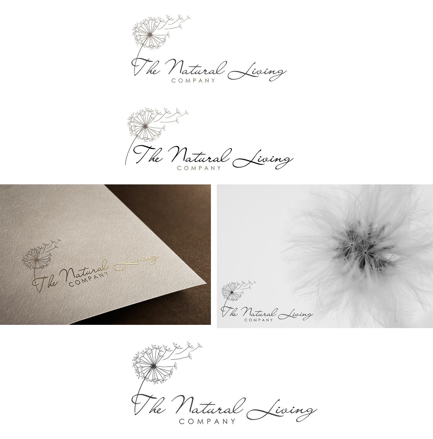 Diseño de Logo por mecidesing para este proyecto | Diseño #11459919