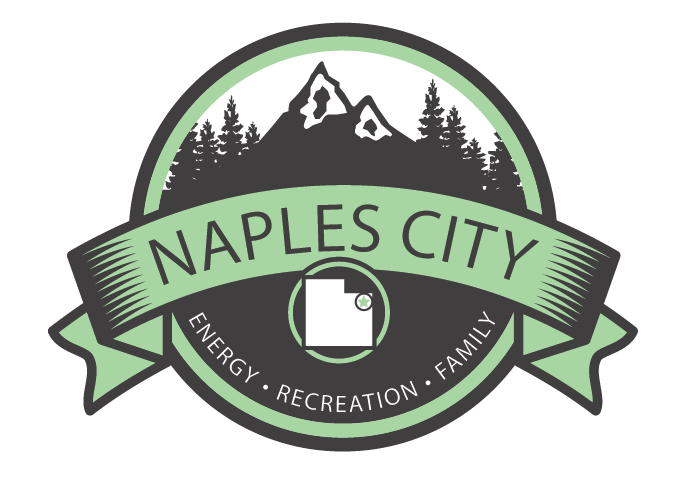 Logo Design by Mandy Illustrator for Naples City | Design #17994038