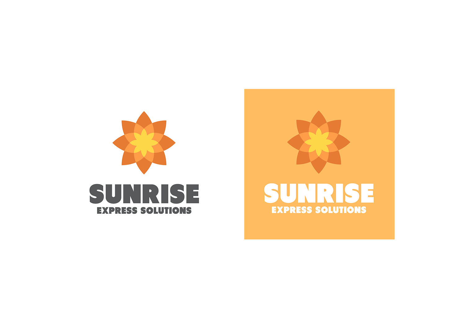 Logo-Design von Matt Bradshaw für Sunrise Express Solutions | Design #11522158
